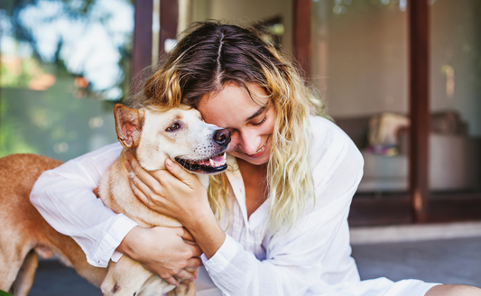 Adopting a Pet: What to Consider