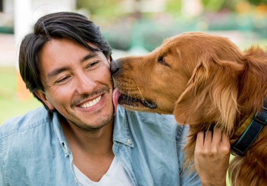 dog licking owner